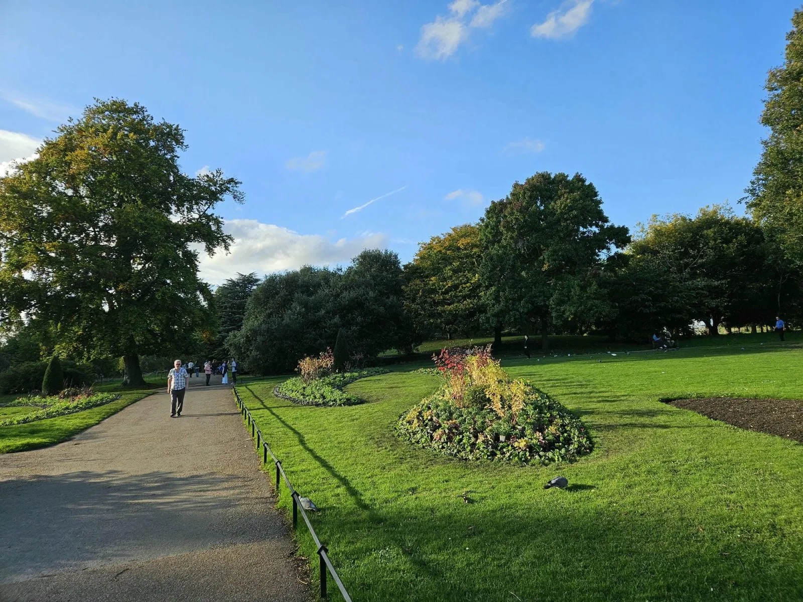Path through Hyde Park with autumn trees